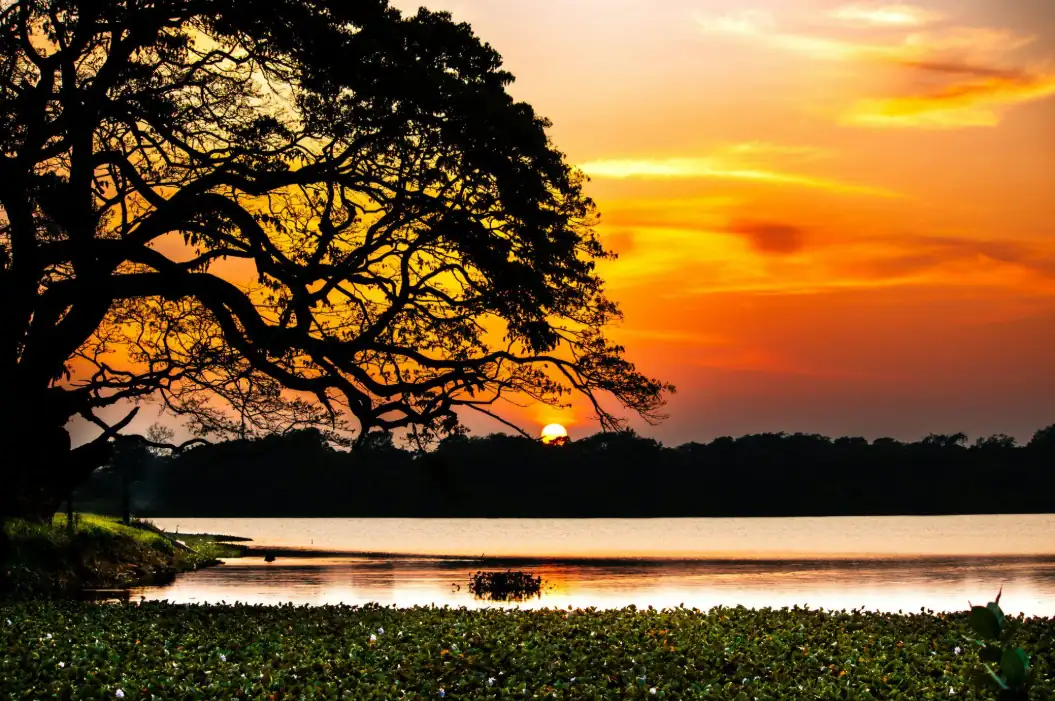 Coucher de soleil sur un lac au Sri Lanka près d’un parc naturel