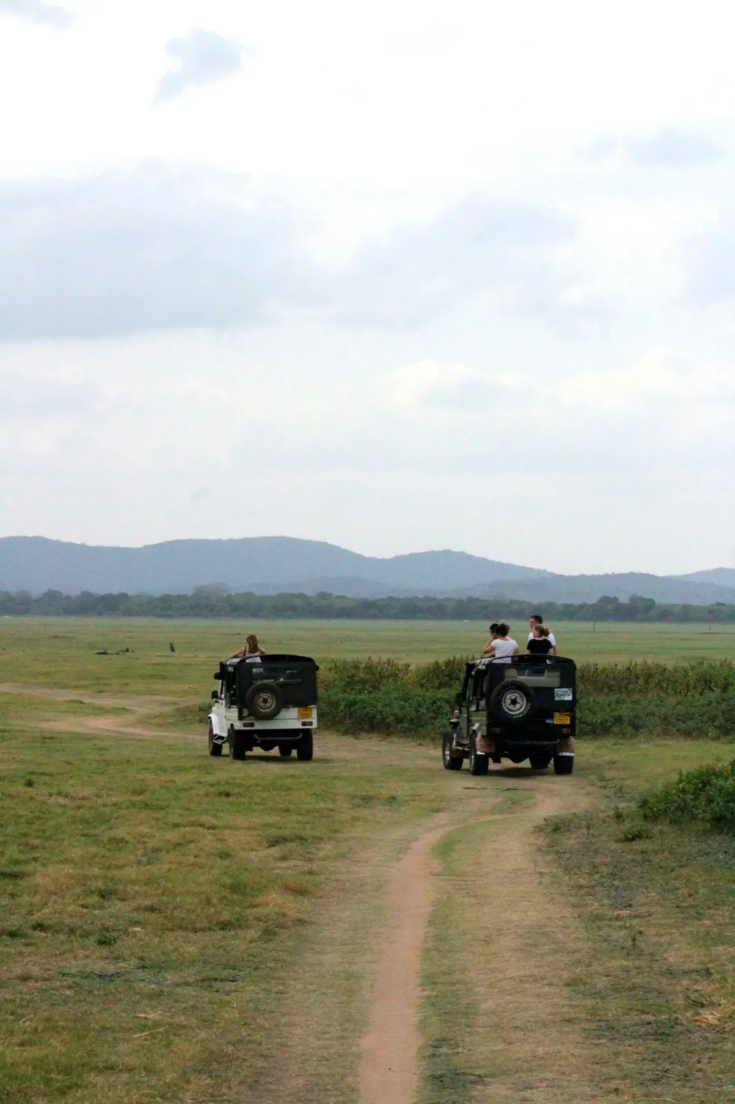 safari sri lanka jeep